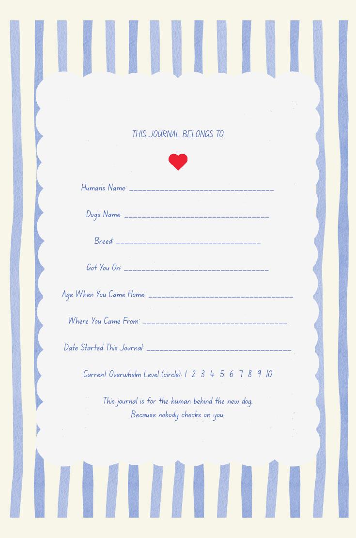 This Journal Belongs To — opening page